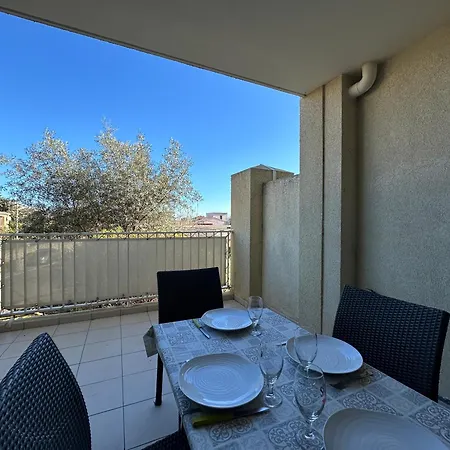 T2 Eucalyptus L'ile-rousse *