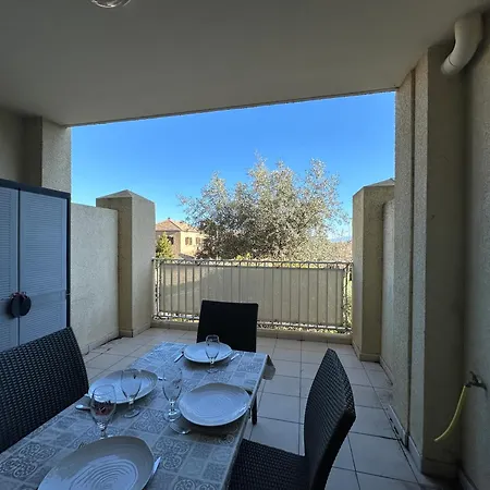 T2 Eucalyptus L'ile-rousse LʼÎle-Rousse