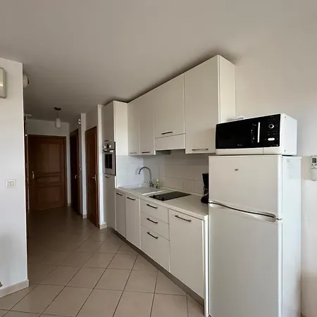 T2 Eucalyptus L'ile-rousse LʼÎle-Rousse