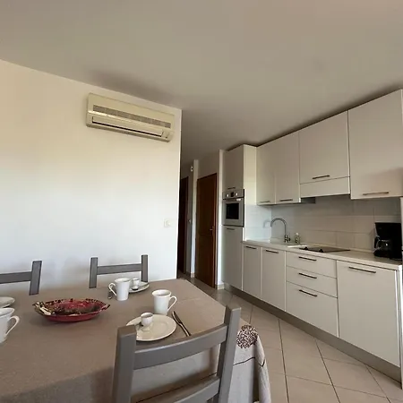 T2 Eucalyptus L'ile-rousse LʼÎle-Rousse