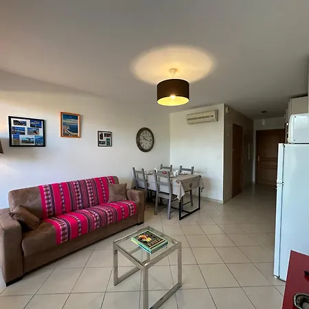 T2 Eucalyptus L'ile-rousse LʼÎle-Rousse