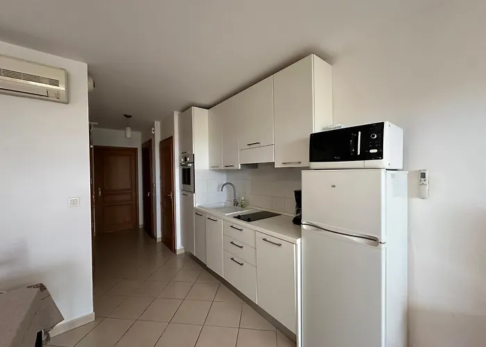 T2 Eucalyptus L'ile-rousse LʼÎle-Rousse