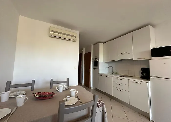 T2 Eucalyptus L'ile-rousse L'Ile-Rousse (Corsica)